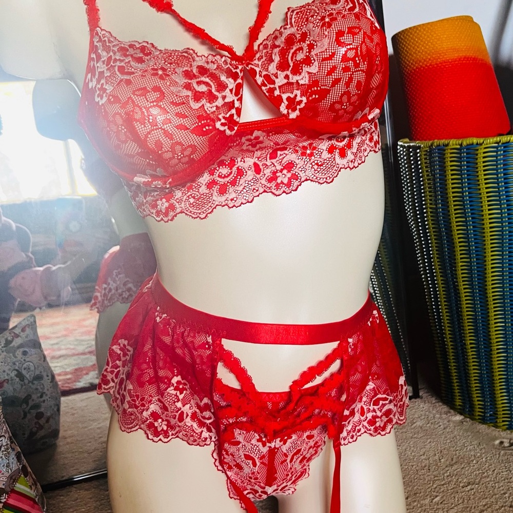Sexy 3 PC Red & White Lace Lingerie Set with Bra, Garter, Thong Panty - Medium